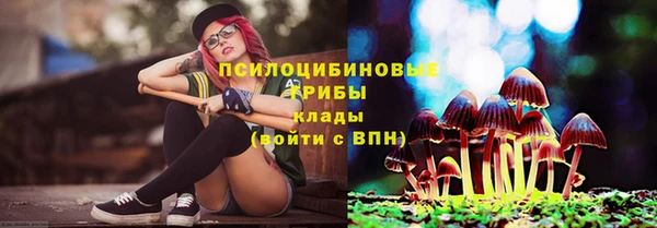 2c-b Алзамай