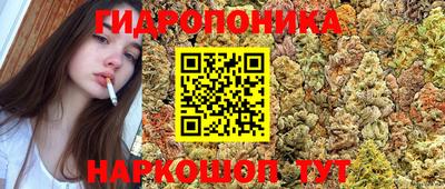 твердый Краснодар
