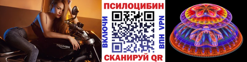 дарнет шоп  Геленджик  OMG рабочий сайт  Галлюциногенные грибы Psilocybine cubensis 