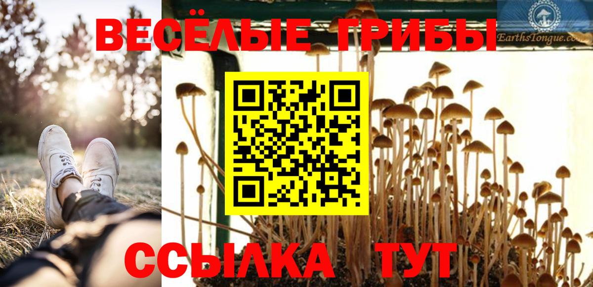 Псилоцибиновые грибы мухоморы  Вход с VPN  Геленджик 