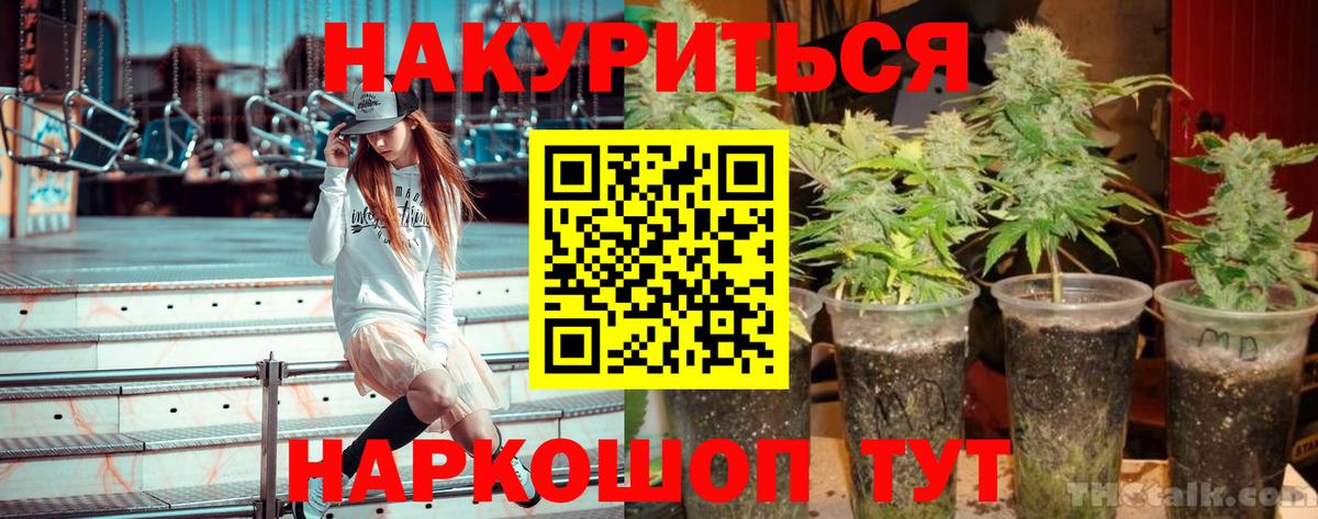 Каннабис гибрид  Бошки Шишки THC 21%  Геленджик  Вход с VPN 
